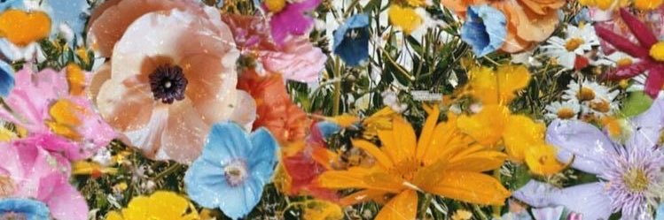 EllenWhight's profile banner image