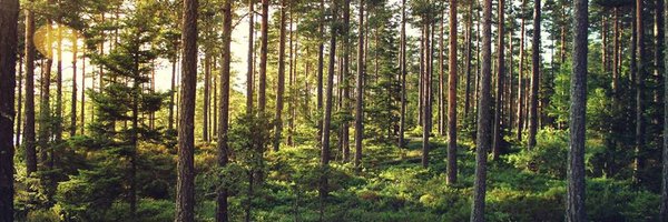 jessicasier Profile Banner