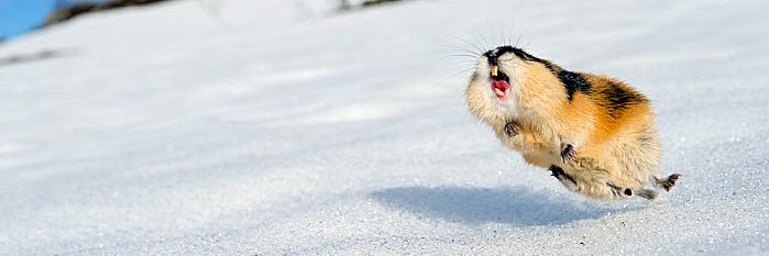 AndersKrohn's profile banner image