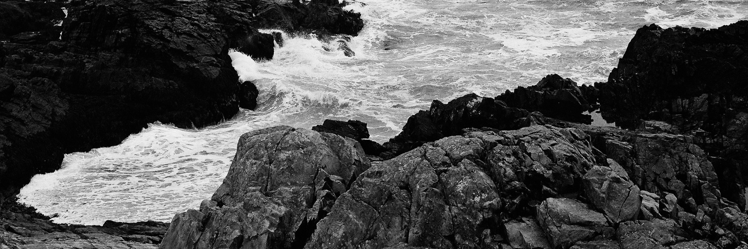 tylerconstance's profile banner image