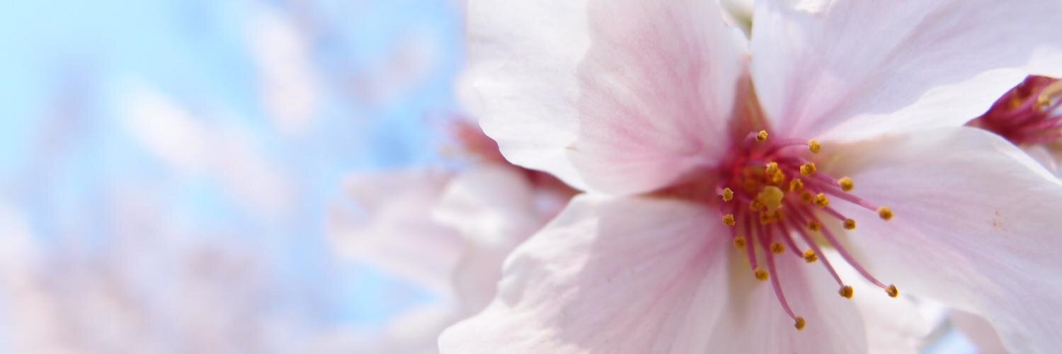 ogbt's profile banner image