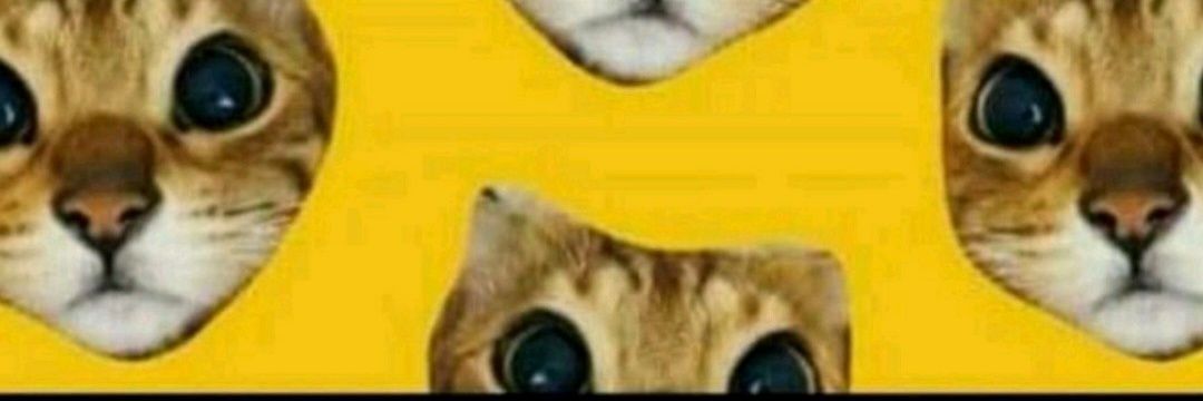 Afredo_Sanson's profile banner image