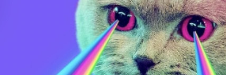 polg's profile banner image