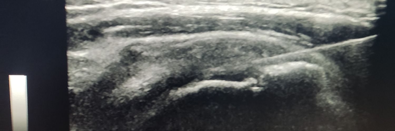 jsaamolina's profile banner image