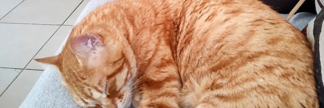 mabbrok's profile banner image