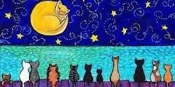 Beroniquita* banner
