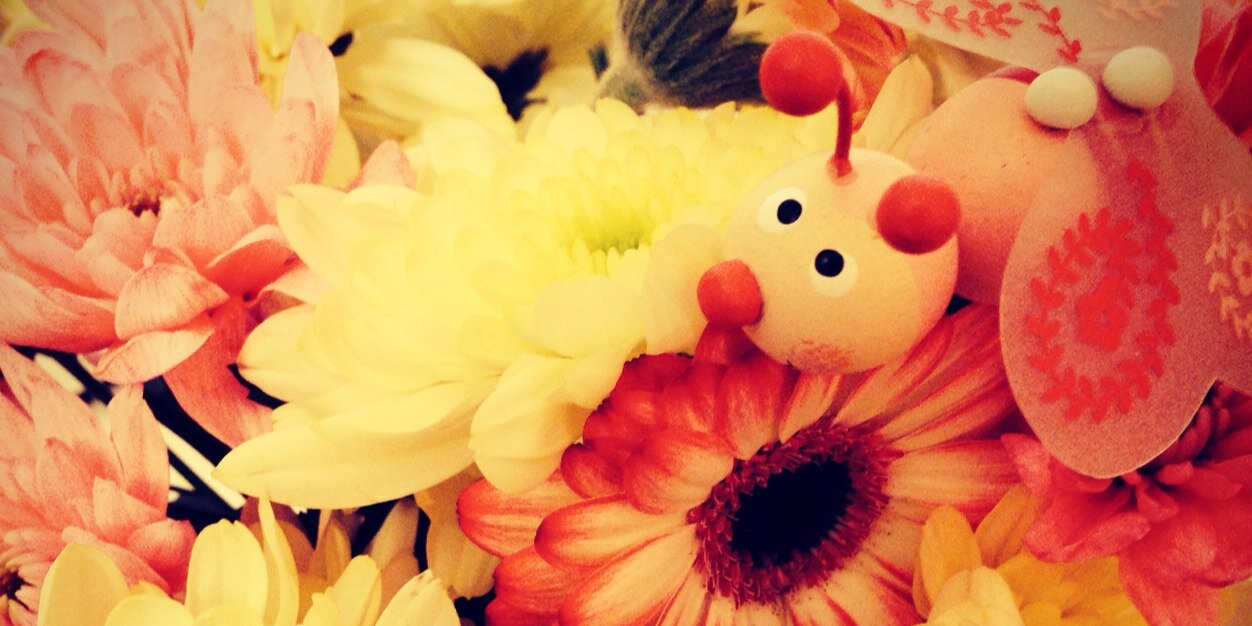 lisarose171's profile banner image