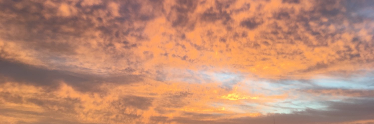 Sofía Gutiérrez Machado banner