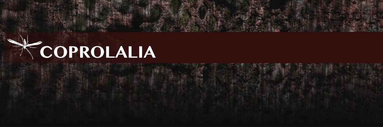coprolaliasound's profile banner image