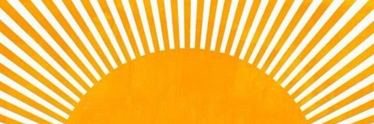 E. banner