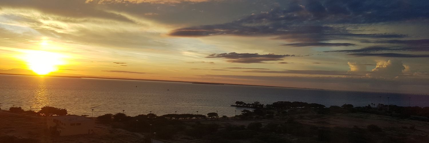 Roberto Pulido banner