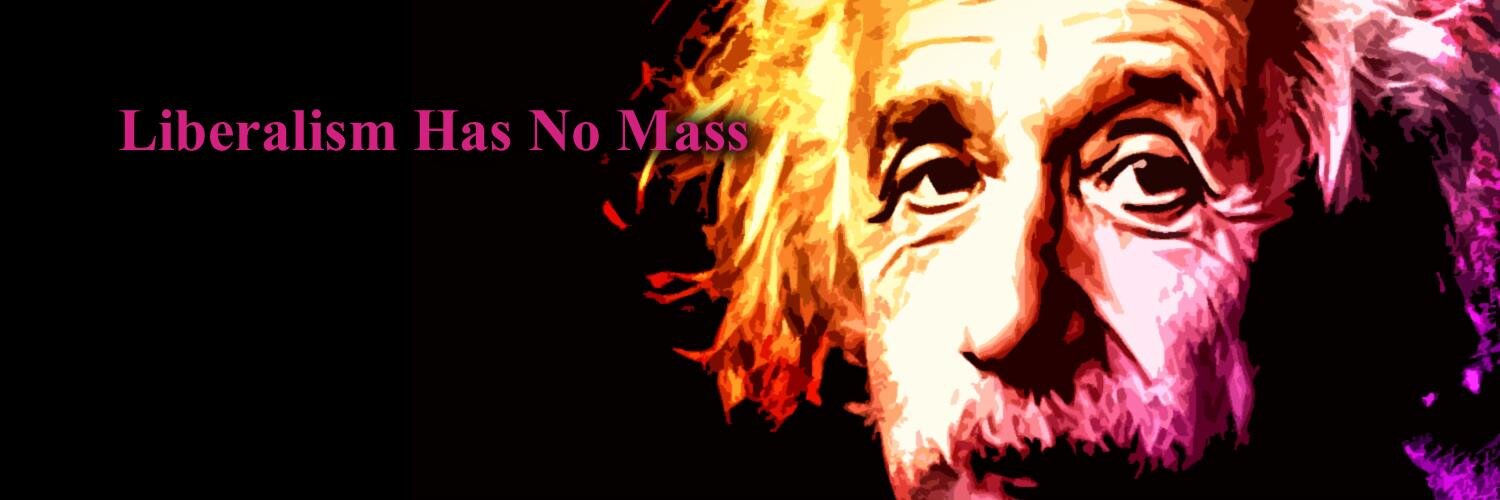 LiberalTheory's profile banner image