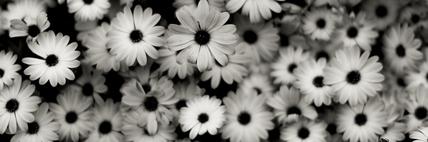 Simply_Jules93's profile banner image
