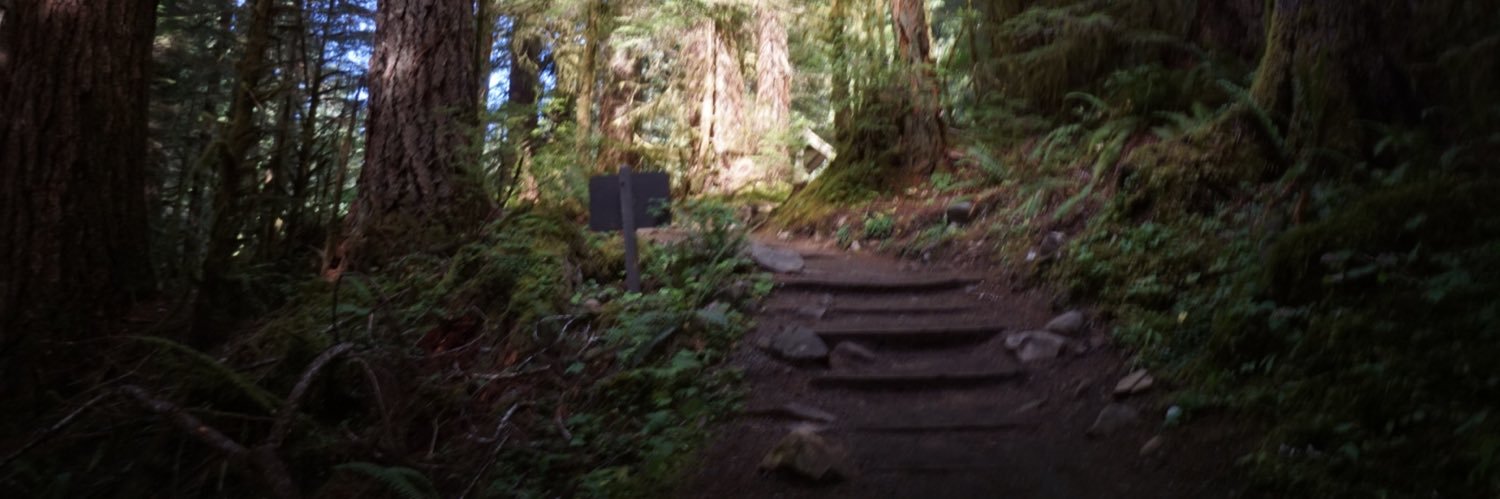 yourguide2's profile banner image