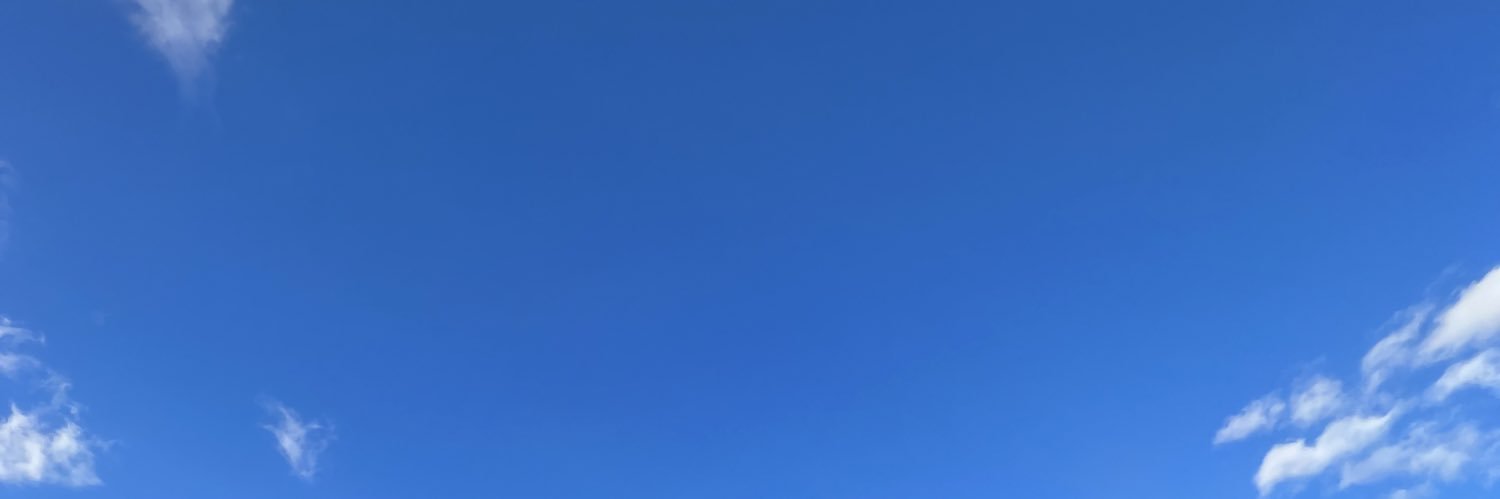 RasneekMusic's profile banner image