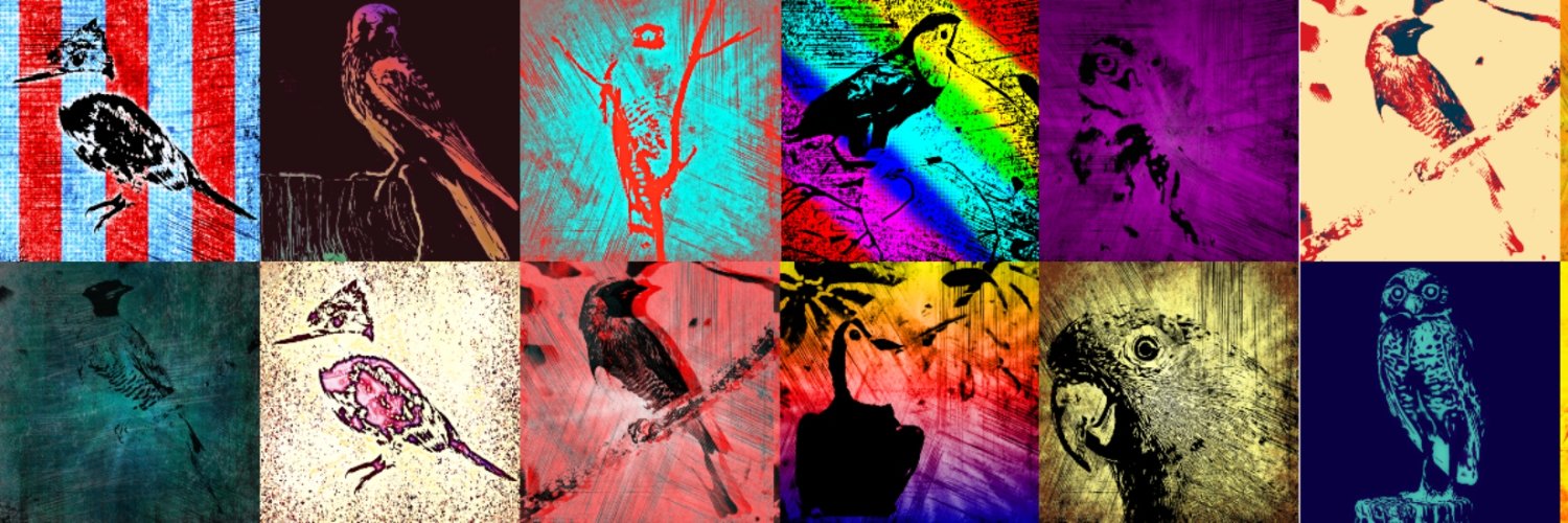 birdsandcryptos's profile banner image