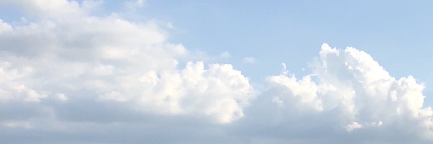 Tiffani Simmons banner
