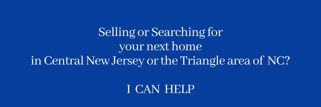 Nina Jordan-Realtor banner