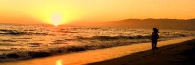 vicky_reynoso's profile banner image
