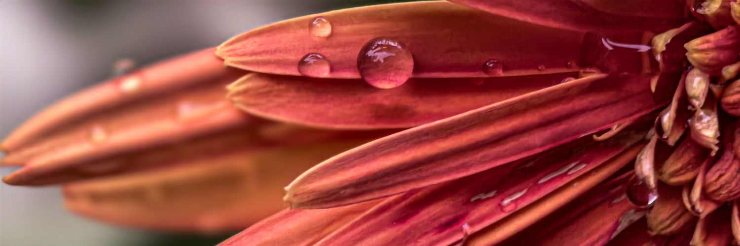 njmj26's profile banner image