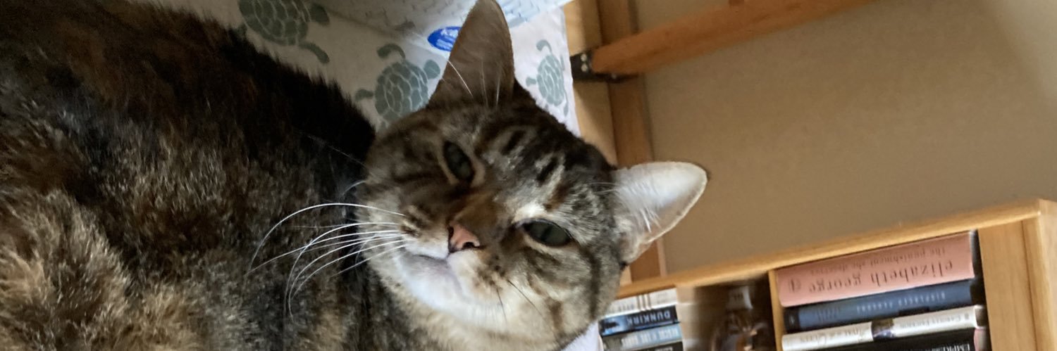 kat41377's profile banner image