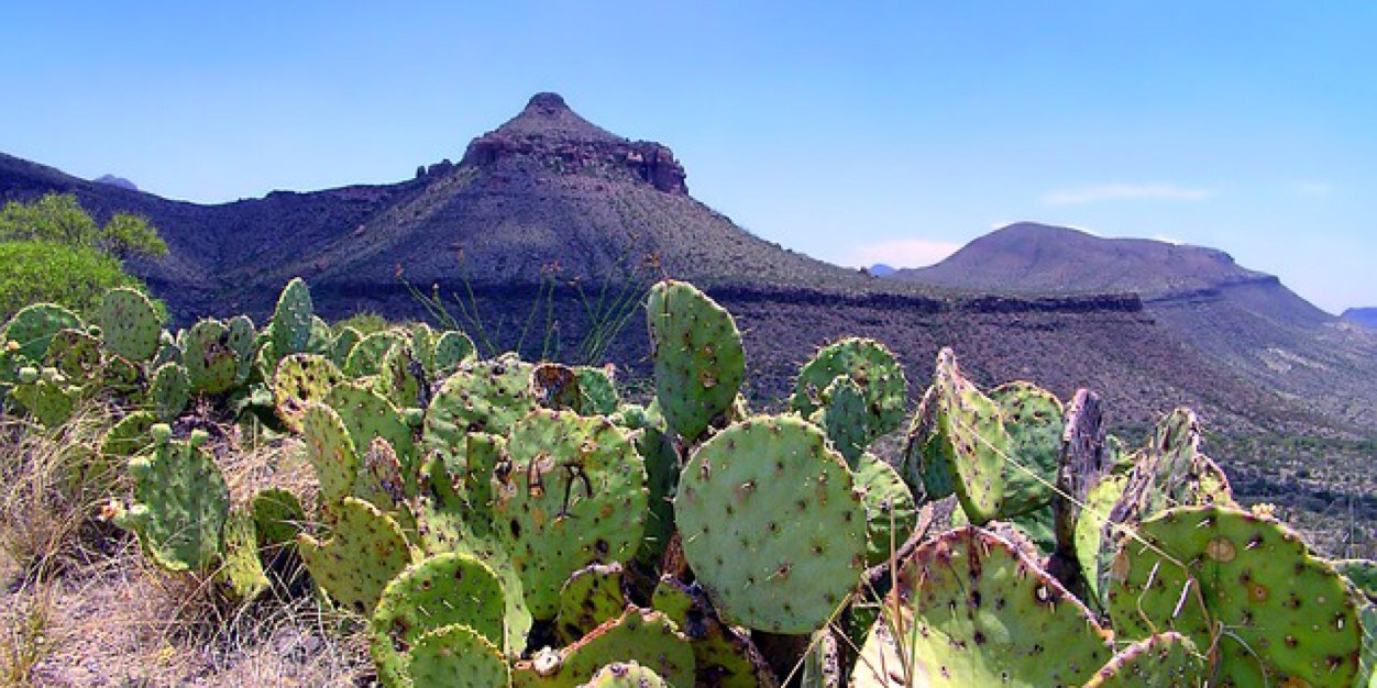 Allen Williams banner