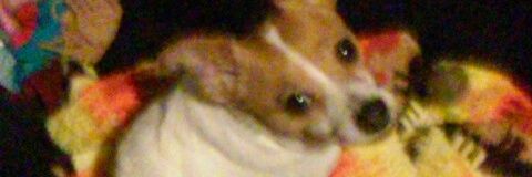 bprinceeex3's profile banner image