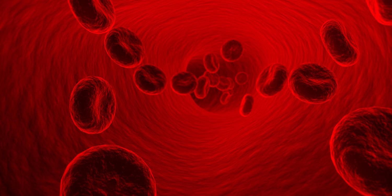 cexsarin's profile banner image