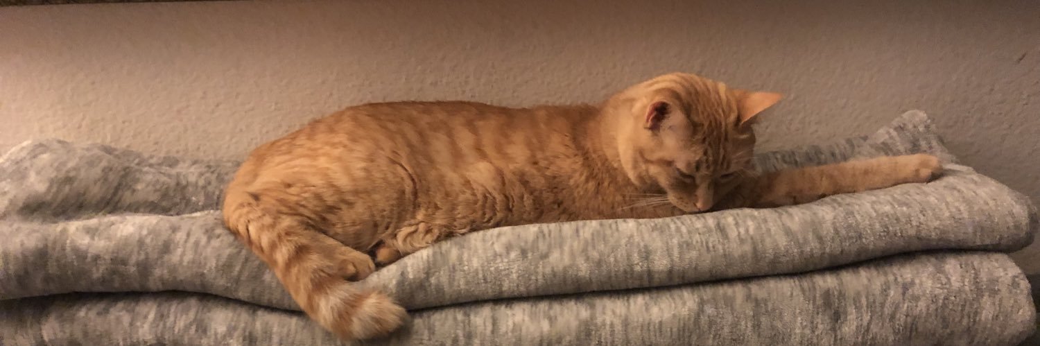 Vintage Kimba banner