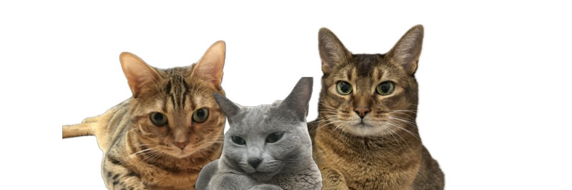makozones's profile banner image