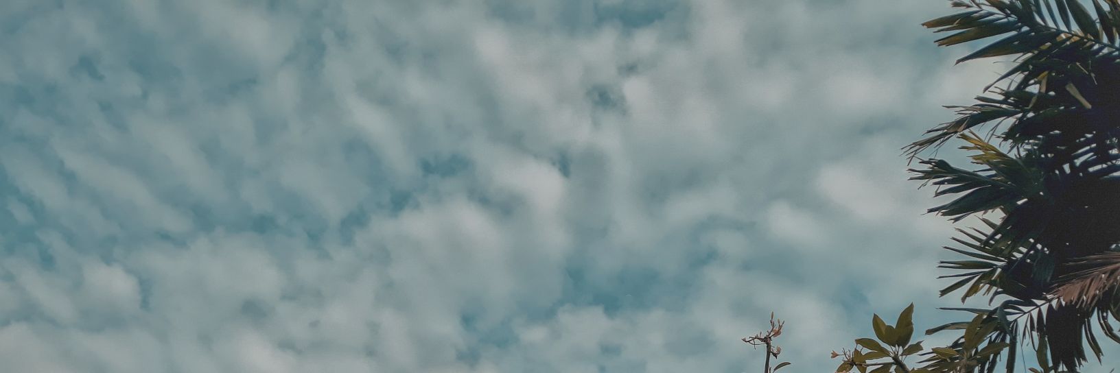_Uullyy's profile banner image