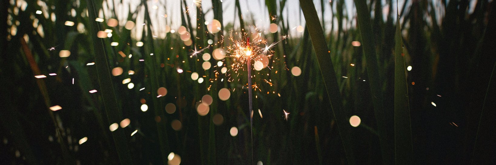 Nicole (Cifani) Lehmann-Haupt banner