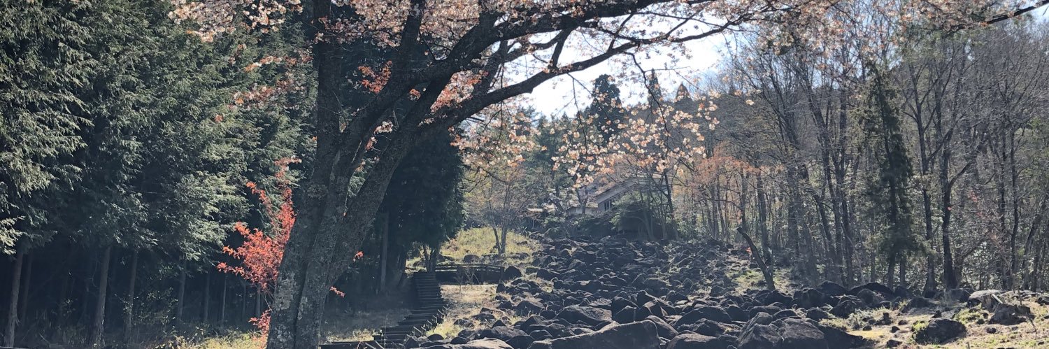 raintree0's profile banner image