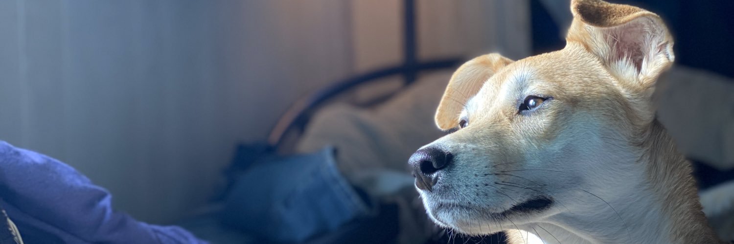 notjohncastle's profile banner image