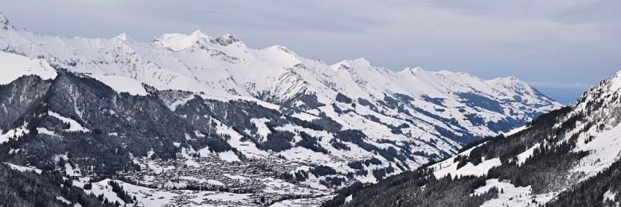 ofirwin's profile banner image