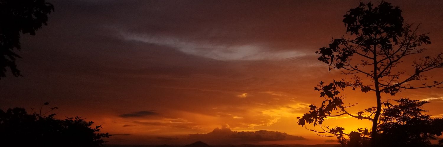 mique_t's profile banner image