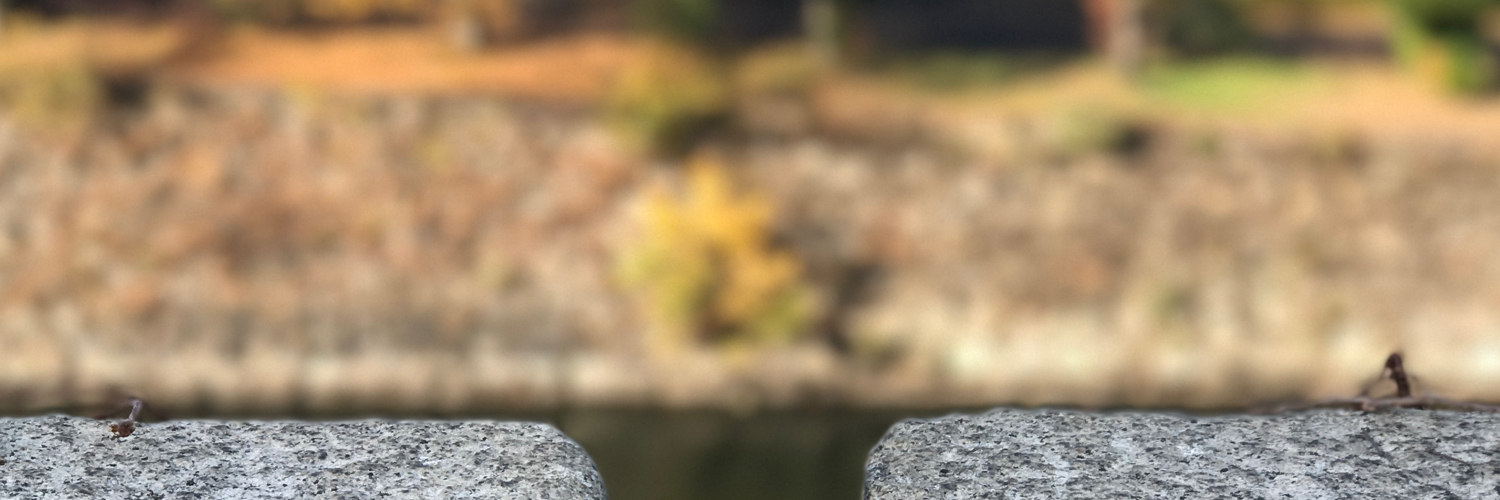 boink's profile banner image