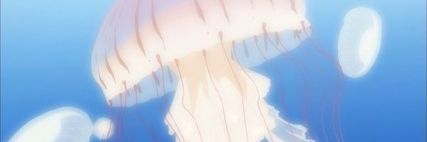 CanneryGirl's profile banner image