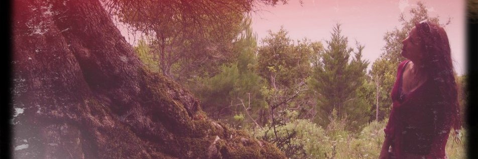Fantasyharper's profile banner image