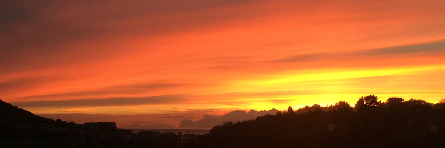 Ifan I3urrell banner