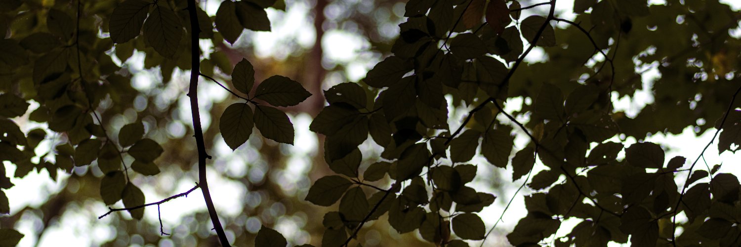 kynsuperhero's profile banner image