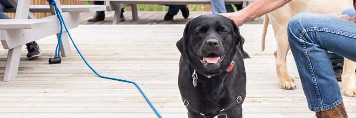 Brett Hopper 🍻🎧🏕 banner