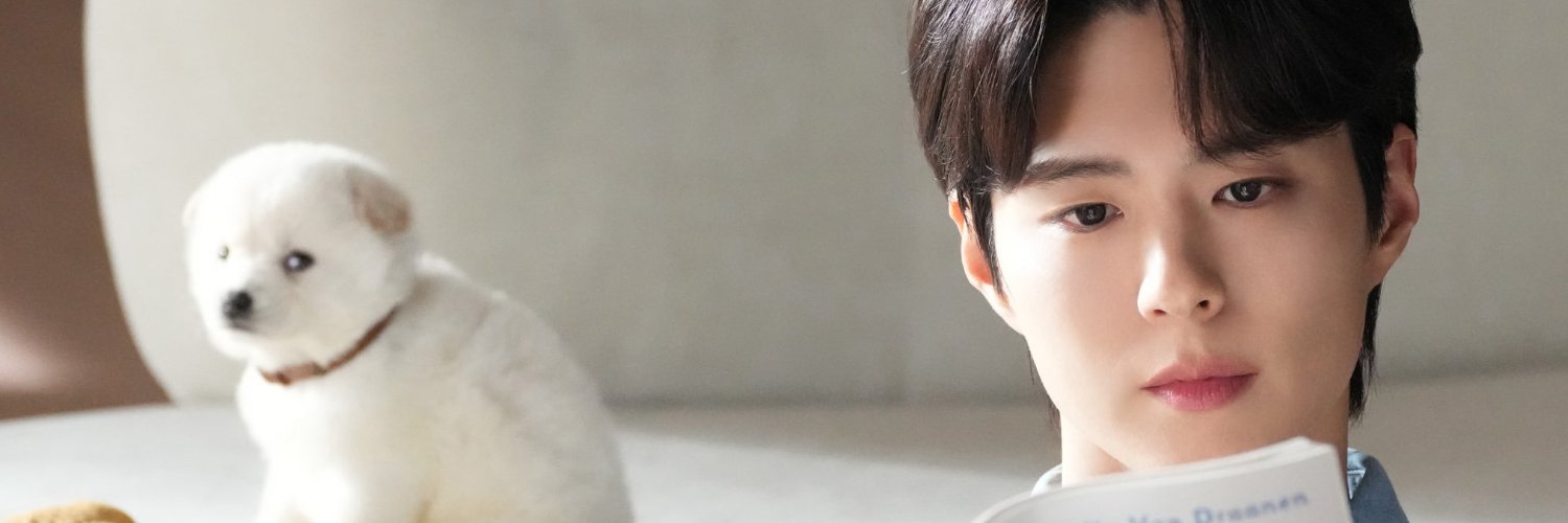 View(y)_Showy banner