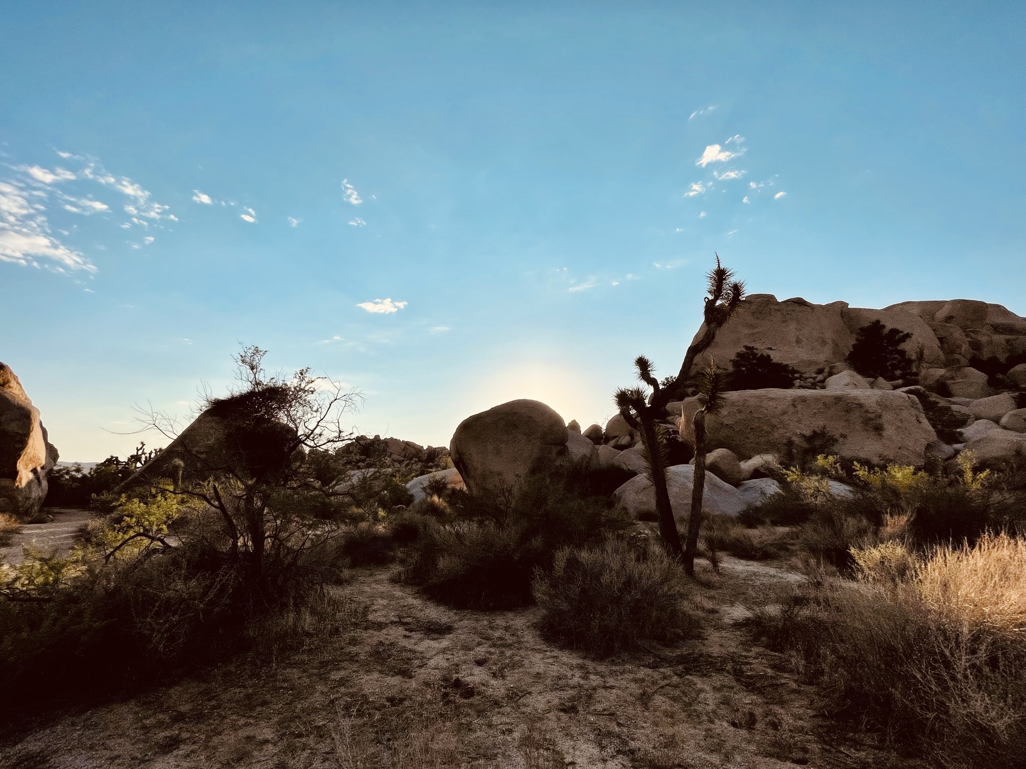 Jonathan LaCour banner