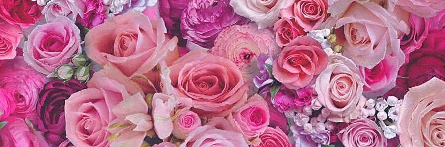 abbpearson's profile banner image