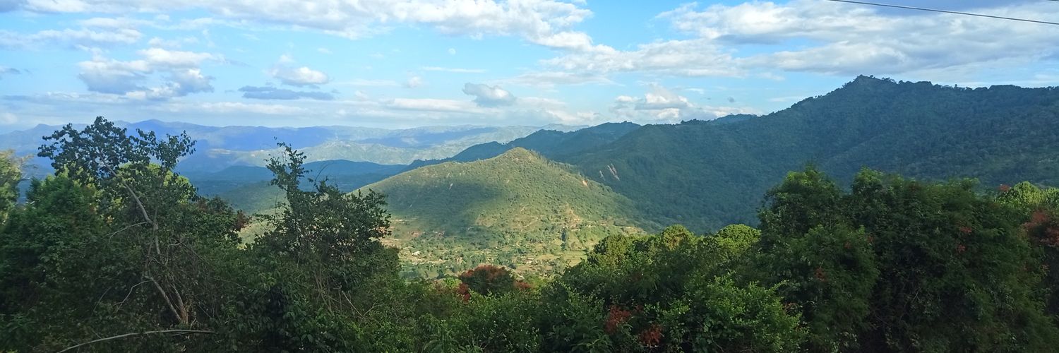TaitaNeTai's profile banner image