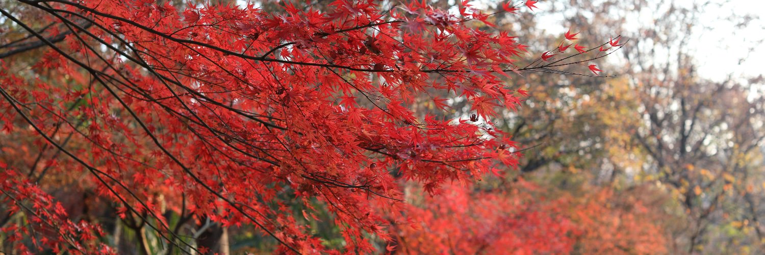 jesse0905's profile banner image