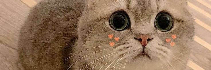 Tyas Utami Sheldy banner