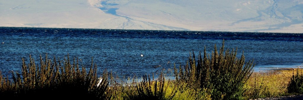 chaksmegha's profile banner image