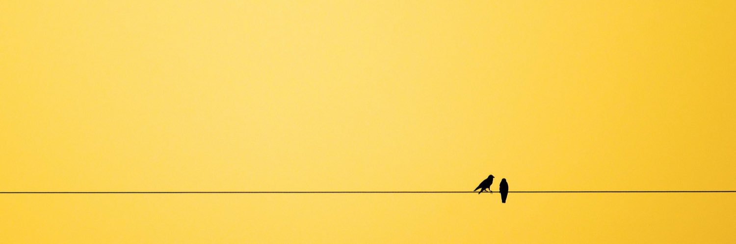 Ashley banner